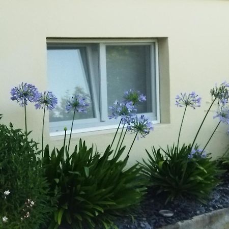 Les Hortensias Fortschwihr Екстериор снимка