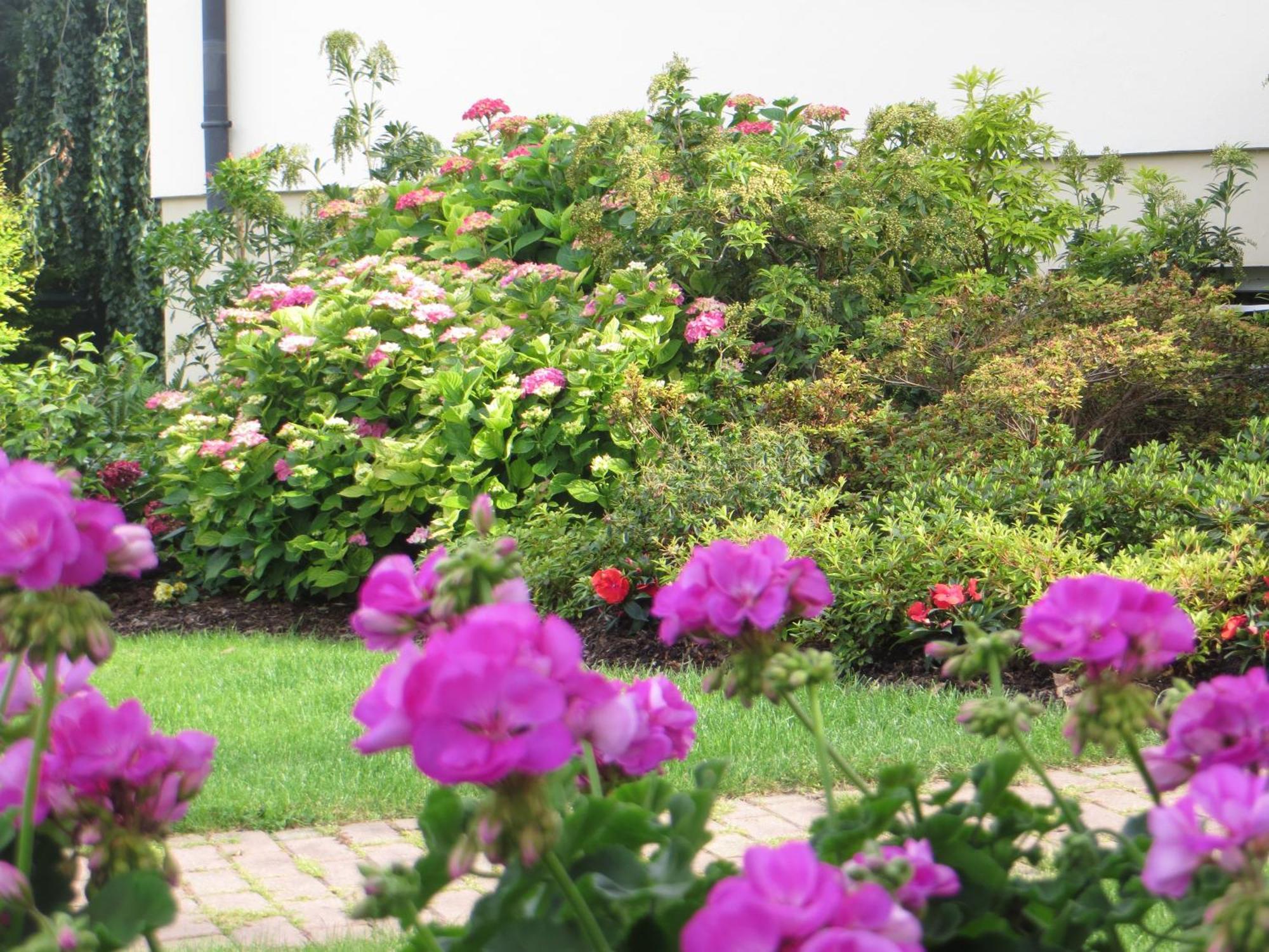 Les Hortensias Fortschwihr Екстериор снимка