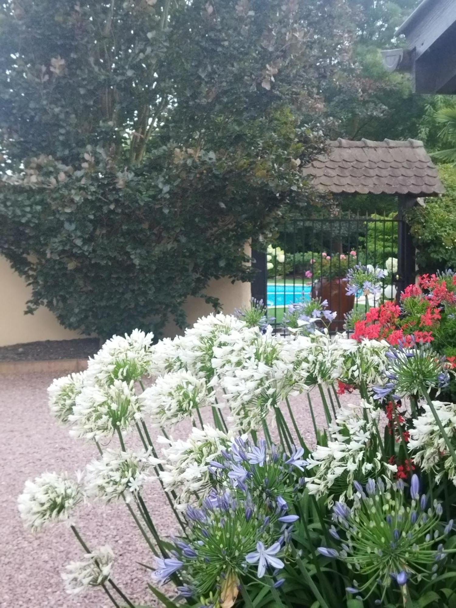 Les Hortensias Fortschwihr Екстериор снимка