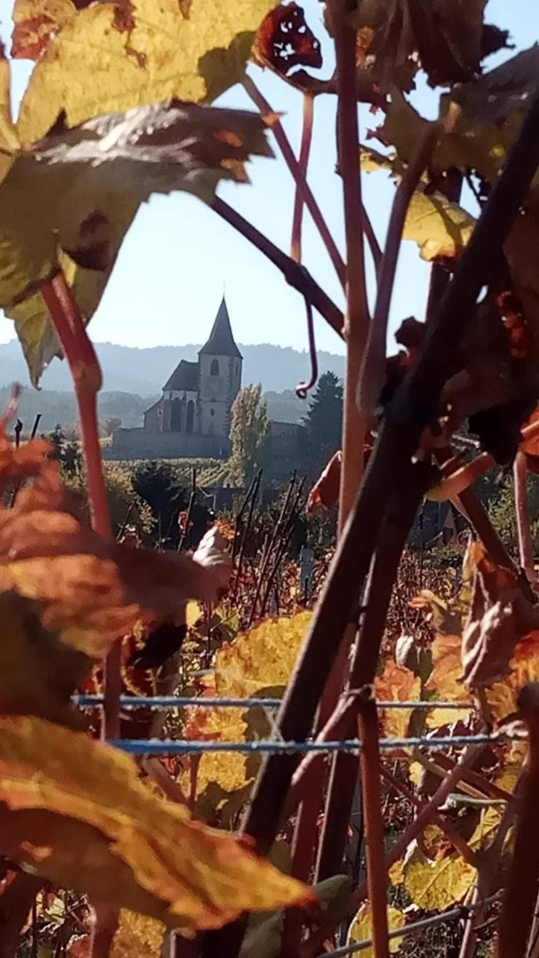 Les Hortensias Fortschwihr Екстериор снимка